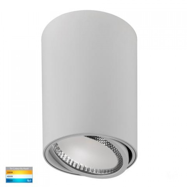 Havit-NELLA 18w LED Black & White Adjustable Surface Mounted Downlight
